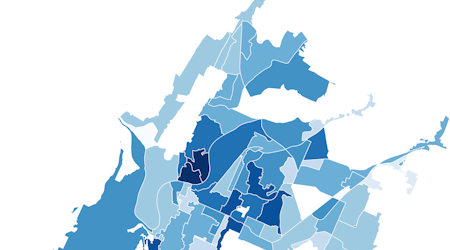 Precinct map showing voter turnout in Chattanooga's 2017 city election.